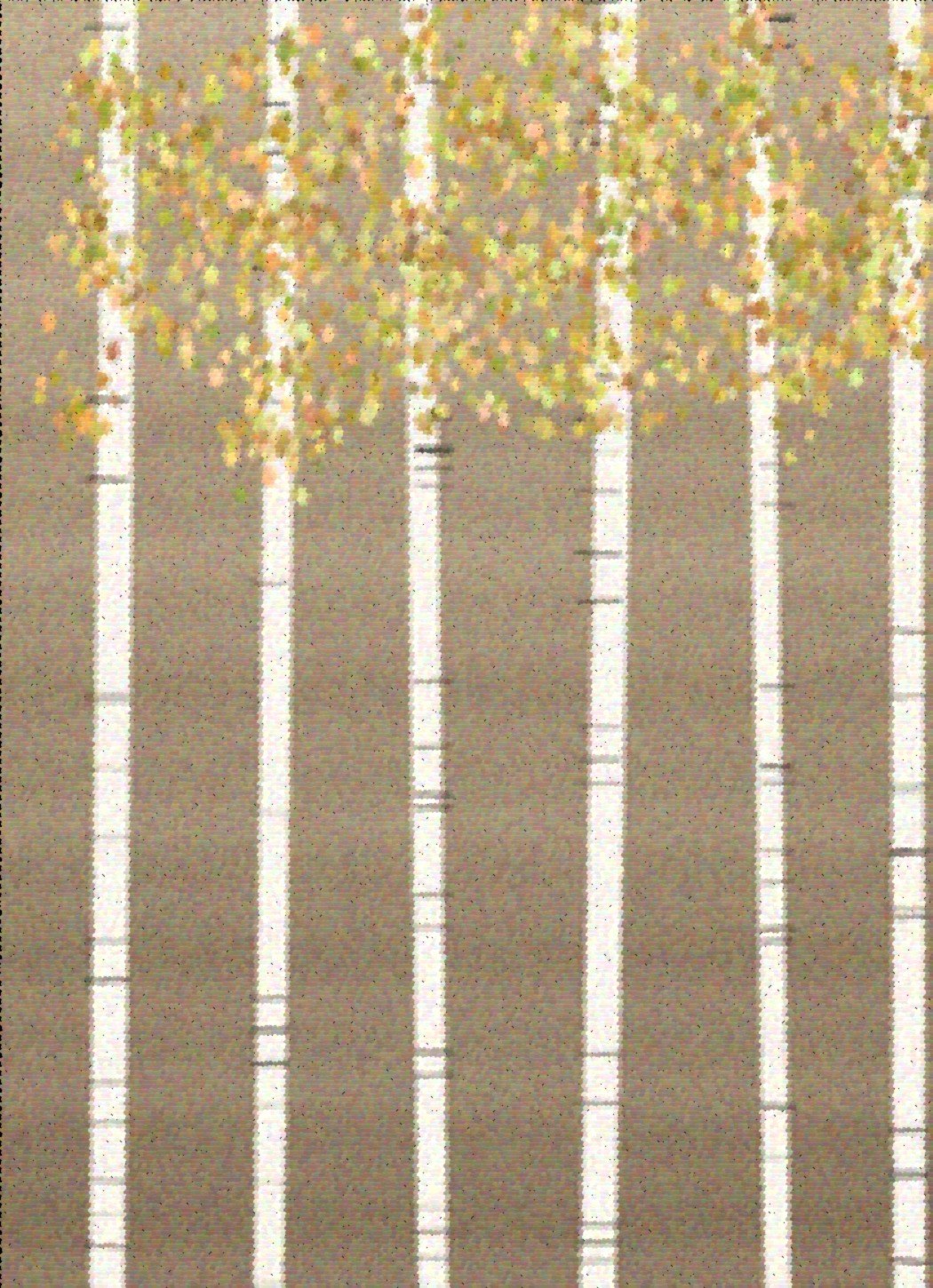 Birch Grove art rug — pale trunks on warm taupe ground