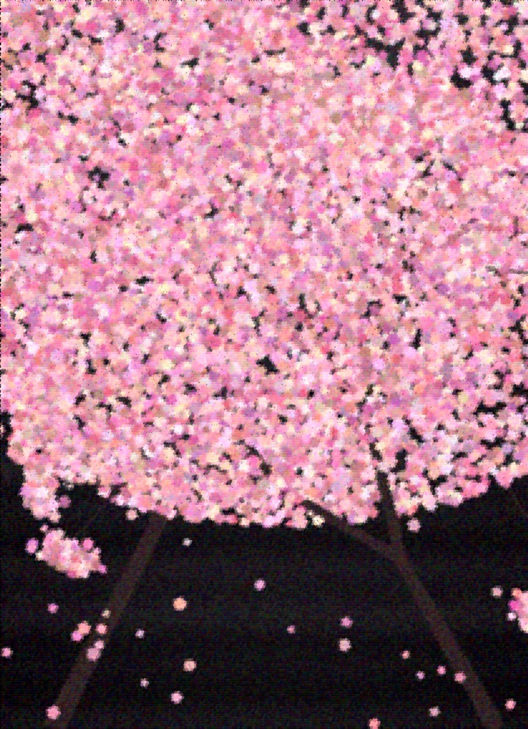 Sakura art rug — cherry blossom on charcoal ground
